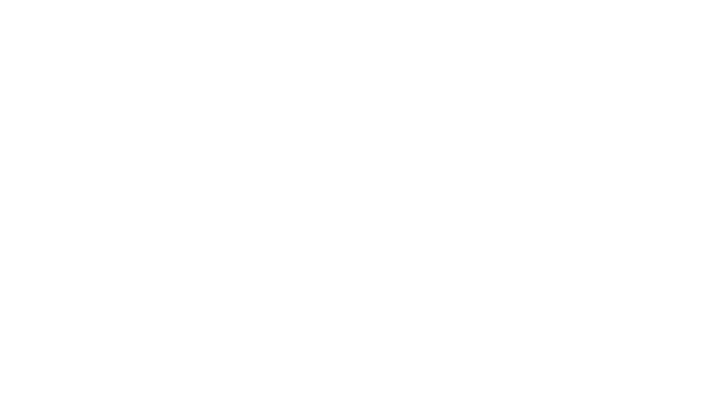 ZZgroom_logo