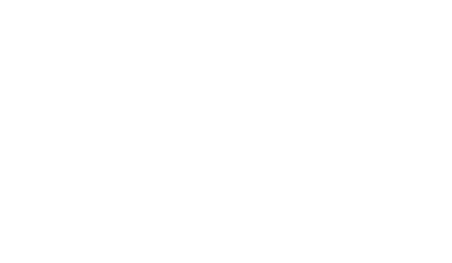 alash_logo