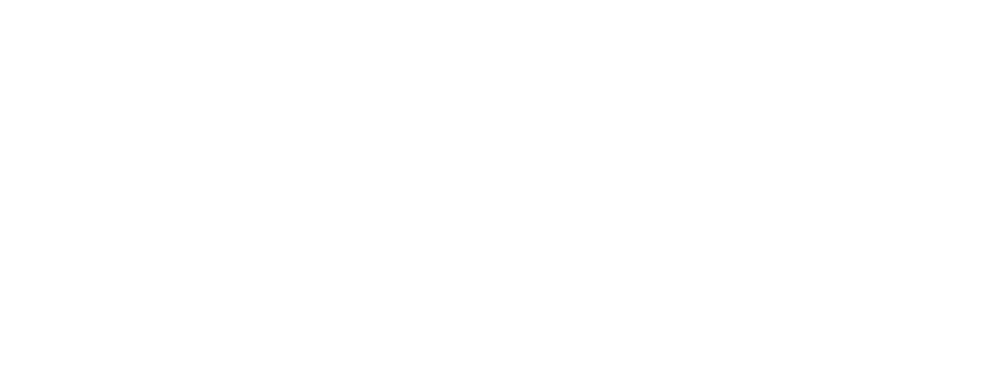 Логотип компании Wienerberger