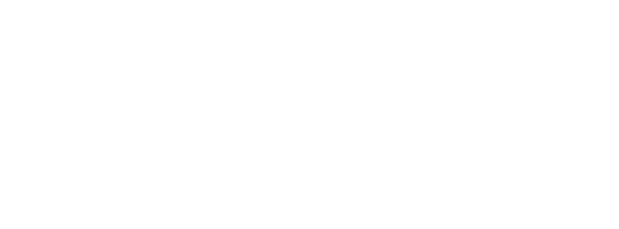 Логотип компании Zeiss