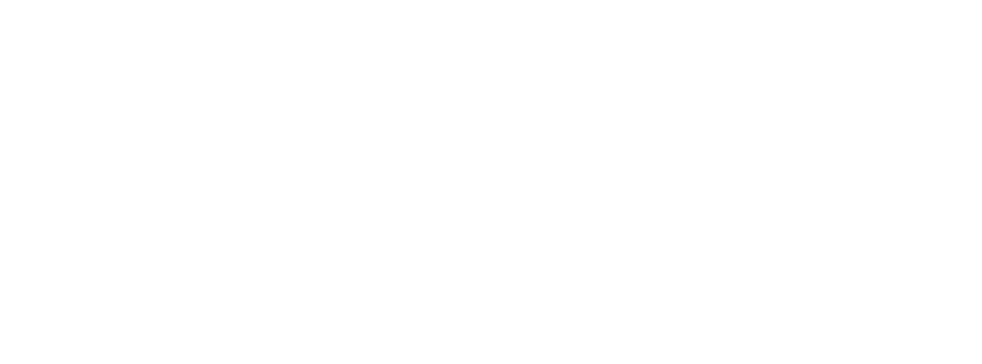 Логотип компании Vienna Airport